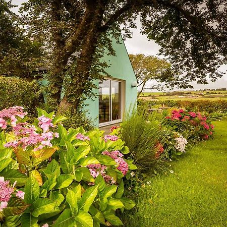 The Wild Atlantic Hideaway Apartment Clonakilty Bagian luar foto